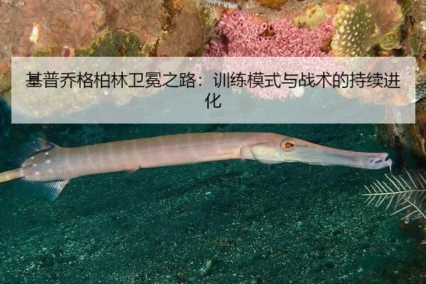 基普乔格柏林卫冕之路：训练模式与战术的持续进化