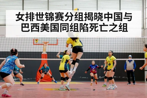 女排世锦赛分组揭晓中国与巴西美国同组陷死亡之组